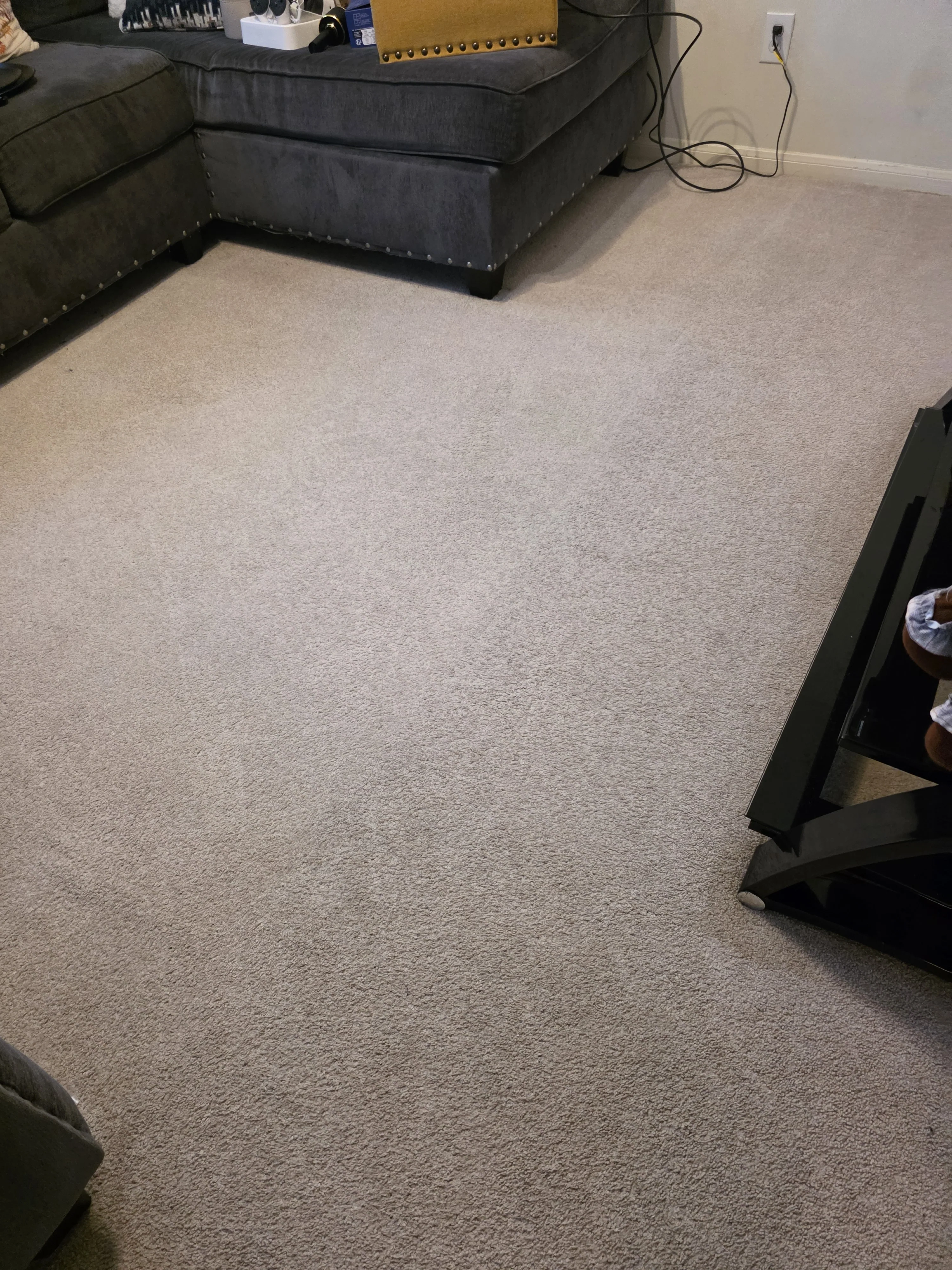 Carpet after cleaning