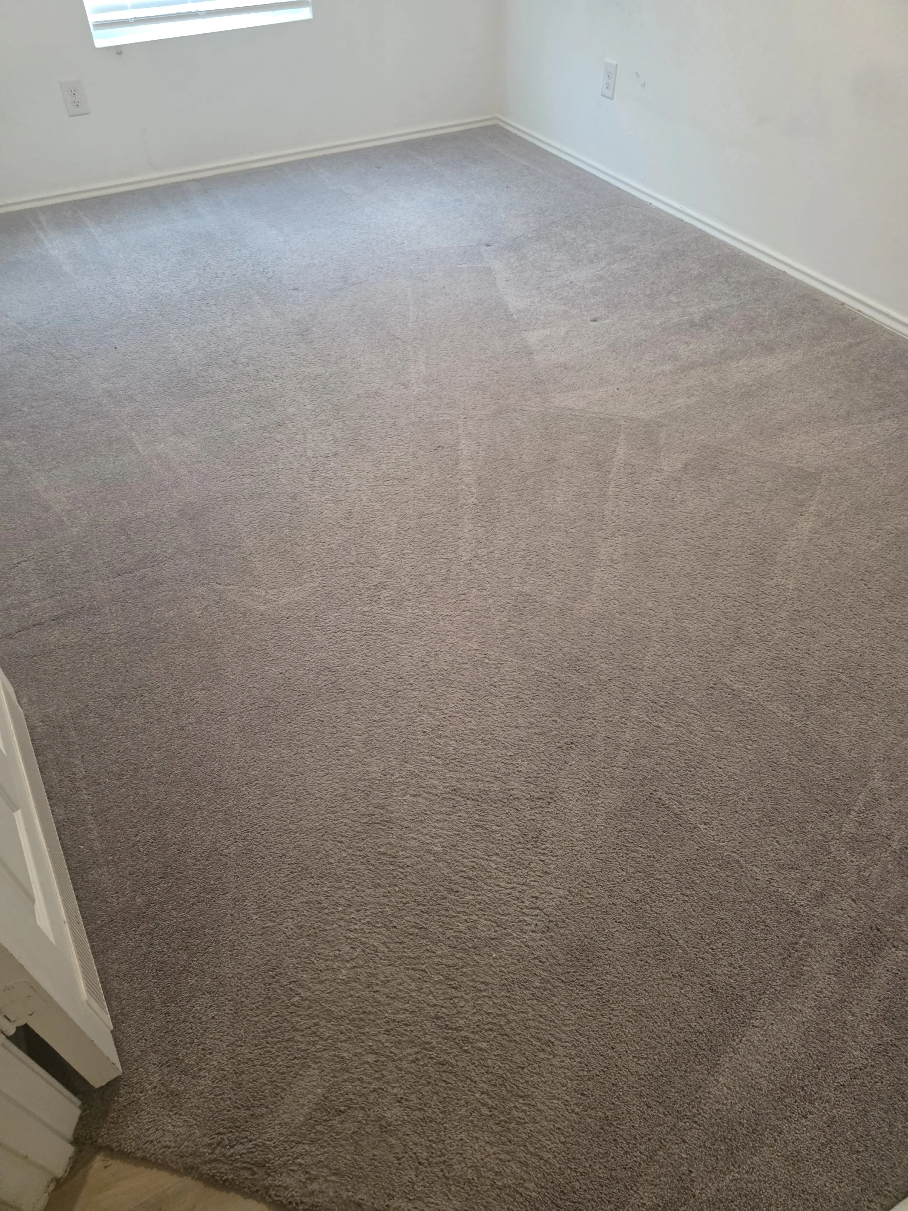 Carpet after cleaning