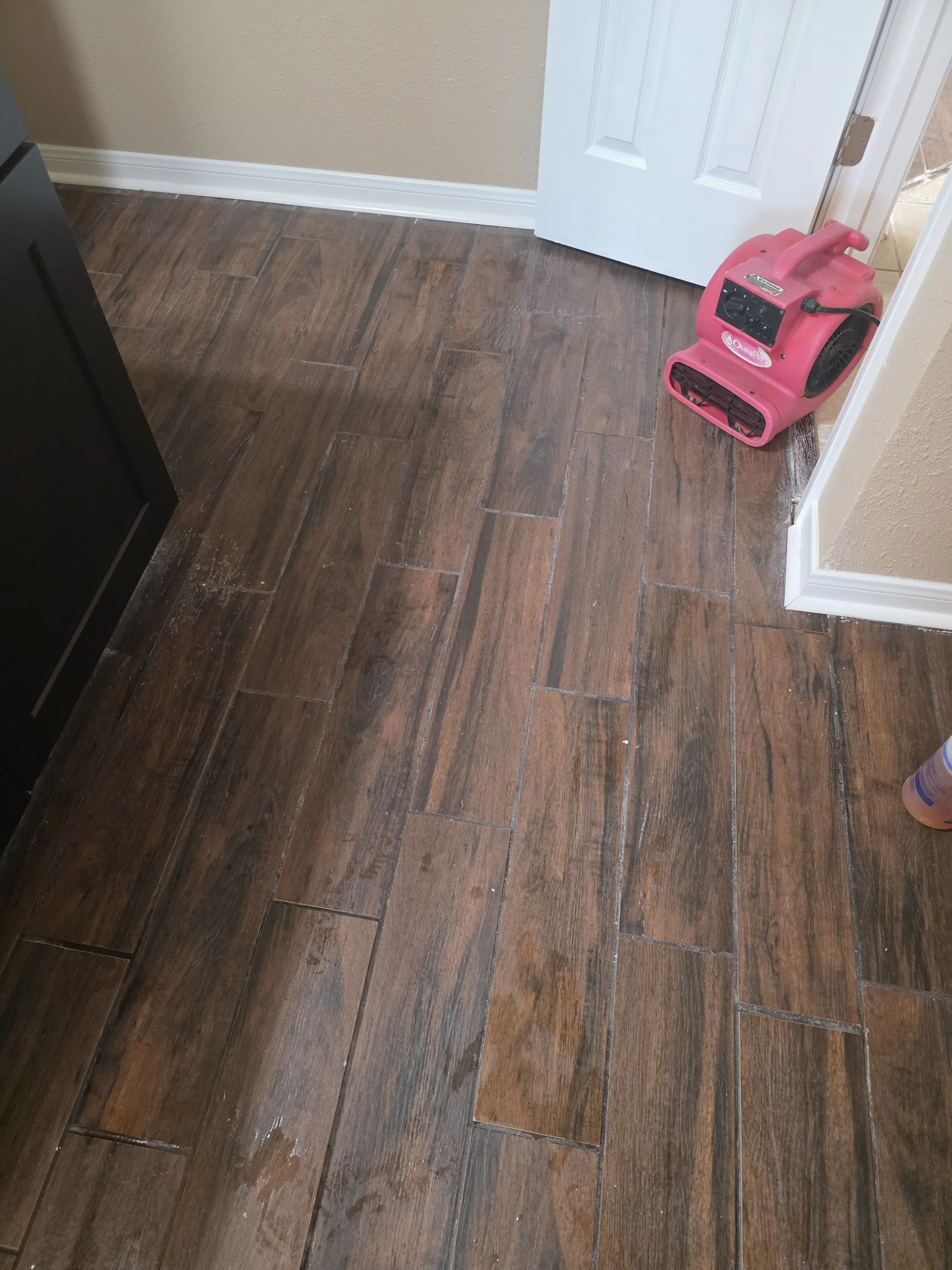 Carpet after cleaning