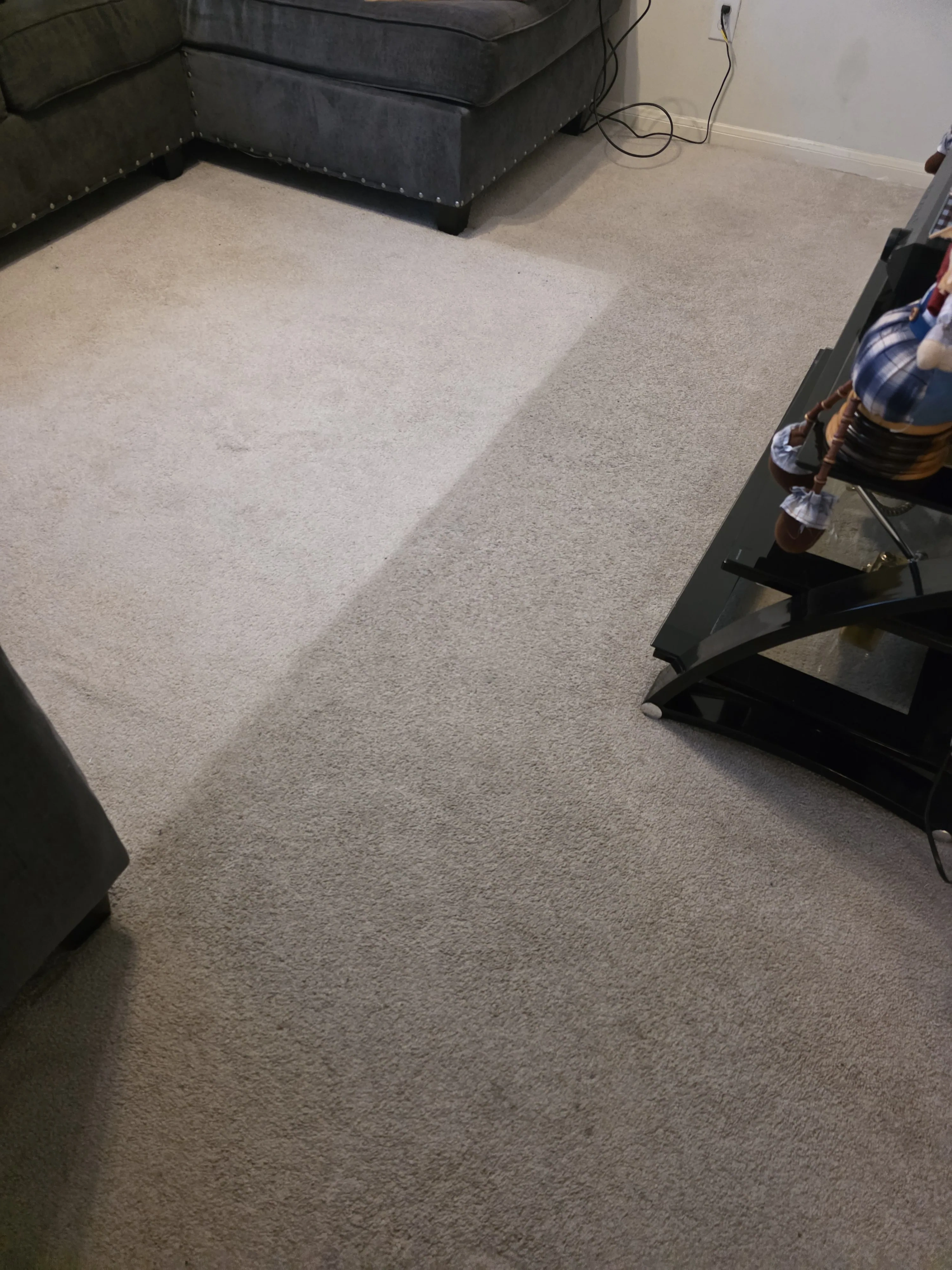 Carpet before cleaning