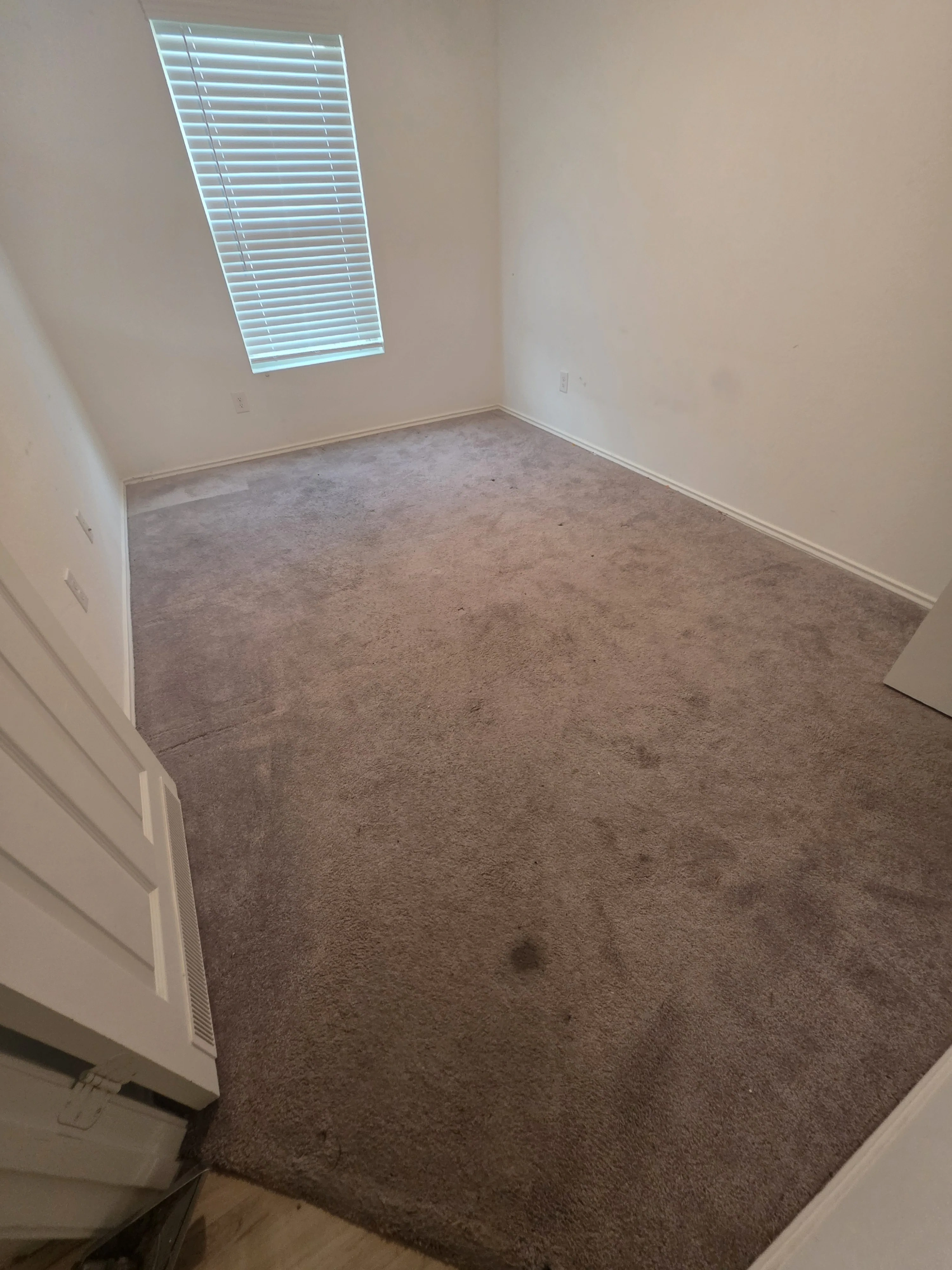 Carpet before cleaning