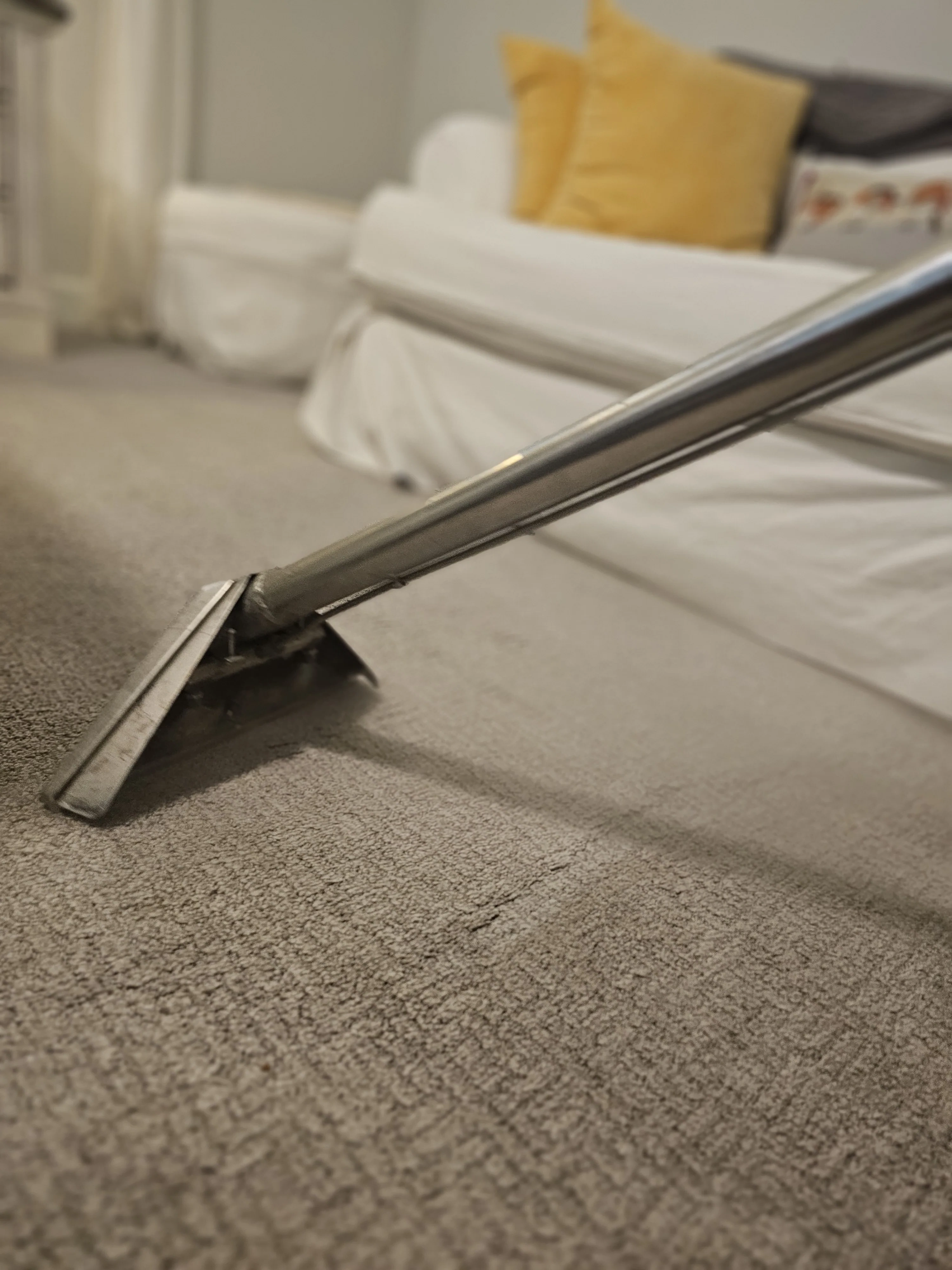 Commercial carpet cleaning in Houston