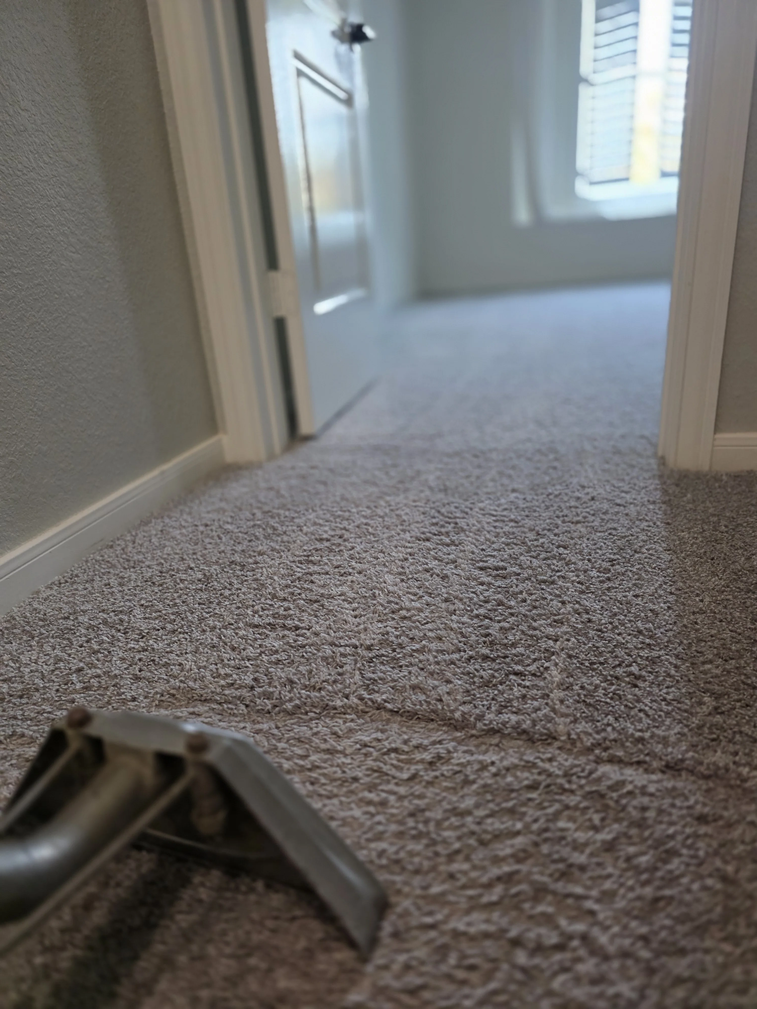 Upholstery cleaning service in Houston